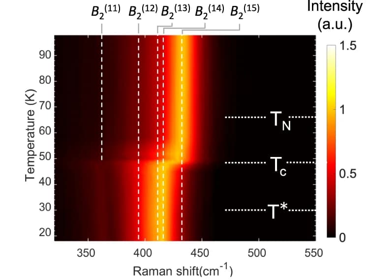 Open access visualization of Heatmap, Raman Spectra, Temperature Dependence, B2 Modes