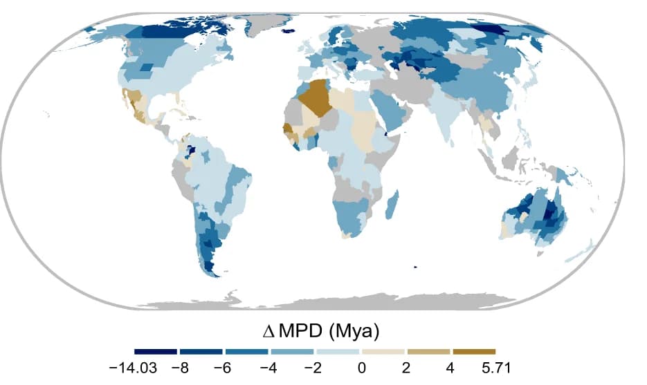 Open access visualization of Geo Map, Phylogenetic Distance, Observed MPD, Expected MPD, Global Distribution