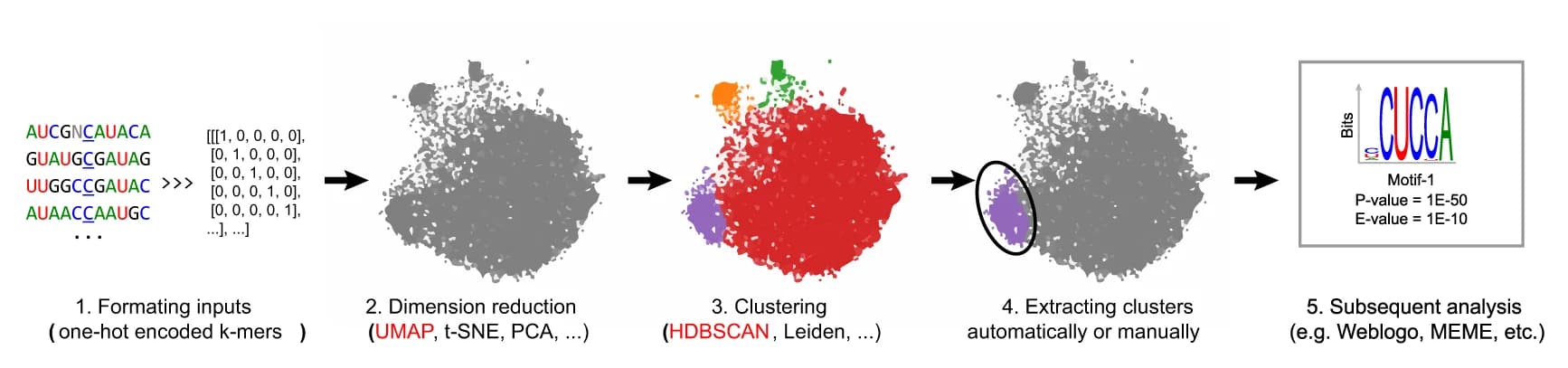 Open access visualization of Workflow, Illustration, UMAP, PCA, iMVP