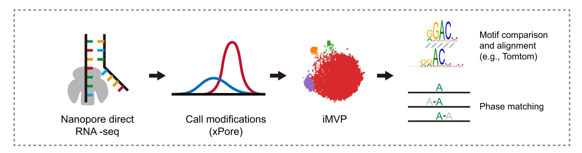 Open access visualization of Workflow, Density Plot, Nanopore, xPore, iMVP