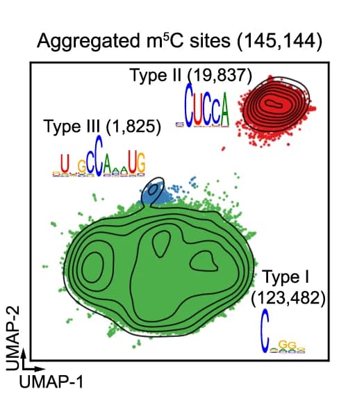 Open access visualization of Scatter Plot, UMAP, Density Plot, m5C Sites, Species