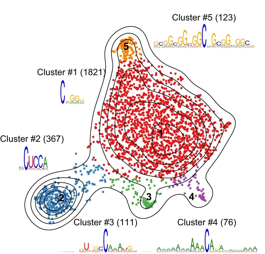 Open access visualization of Scatter Plot, Density Plot, Mouse m5C sites, False positives, Mouse tissues