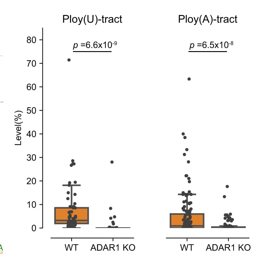 Open access visualization of Box Plot, Scatter Plot, Boxplots, Editing Level, Poly(U) Tract