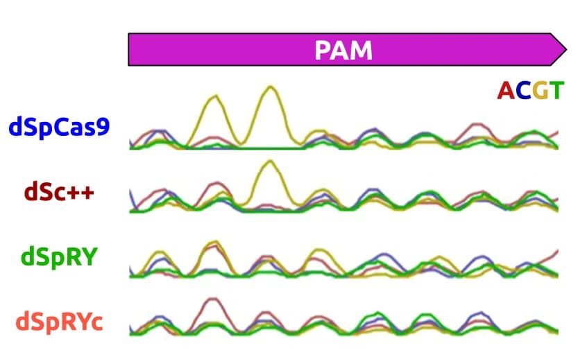 Open access visualization of Line Plot, PAM Enrichment, dCas9 Enzymes, PAM-SCANR, dCas9 Plasmid