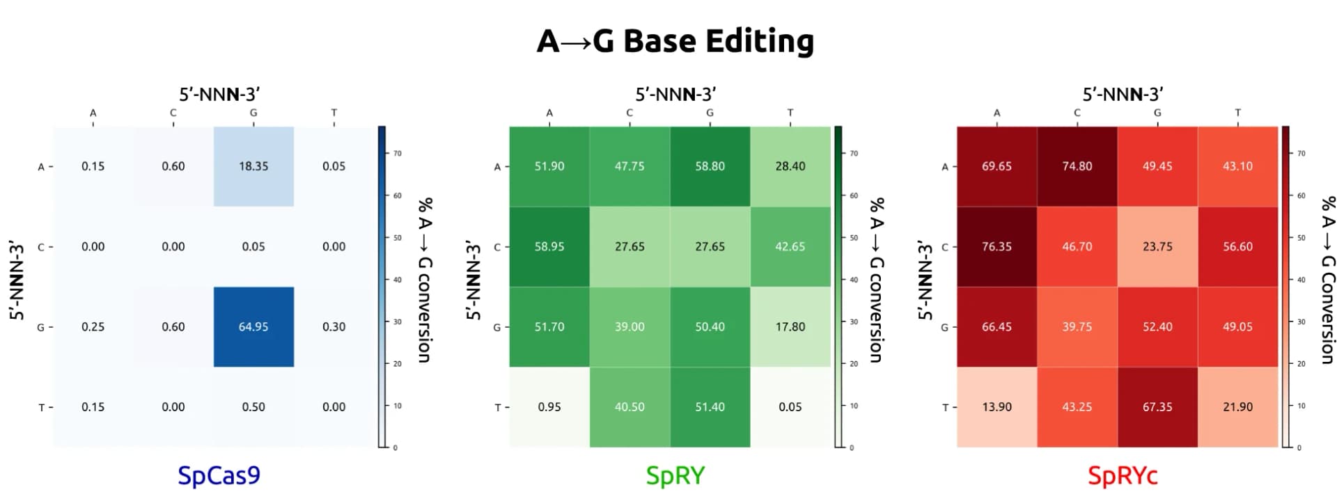 Open access visualization of Heatmap, A-to-G Conversion, ABE8e Variants, Base Editing, PCR Amplification