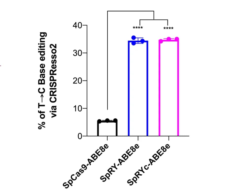 Open access visualization of Bar Plot, Error Bars, Base Editing, CRISPResso2 NGS Analysis, MECP2 Loci