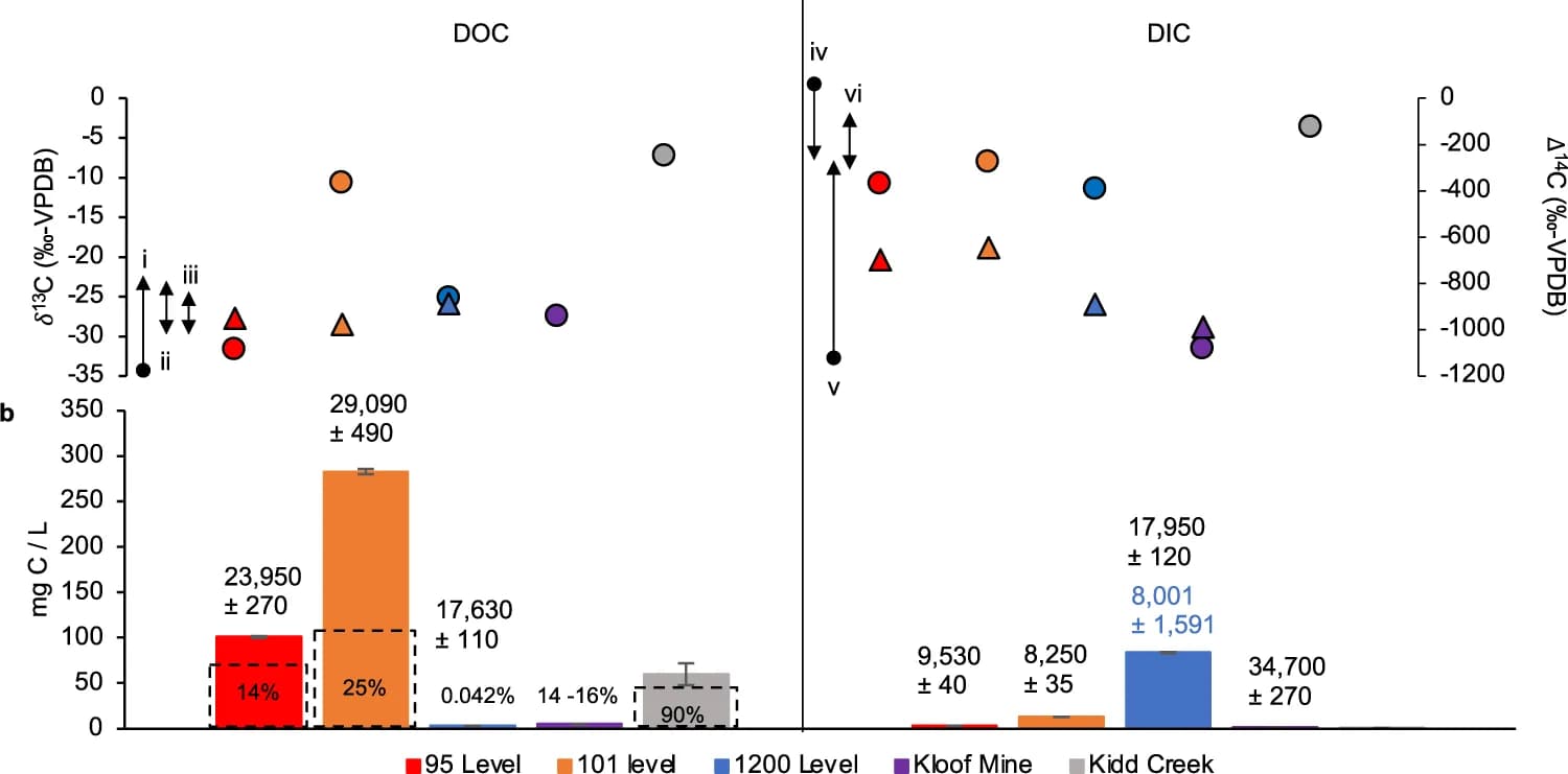 Open access visualization of Bar Plot, Error Bars, Scatter Plot, δ 13 C, Δ 14 C