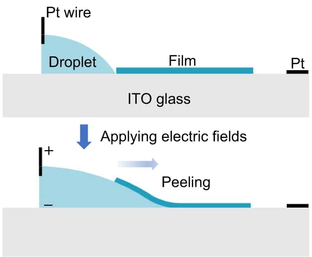 Open access visualization of Illustration, Workflow, Electro-capillary Peeling, Liquid Droplet, PDMS Film