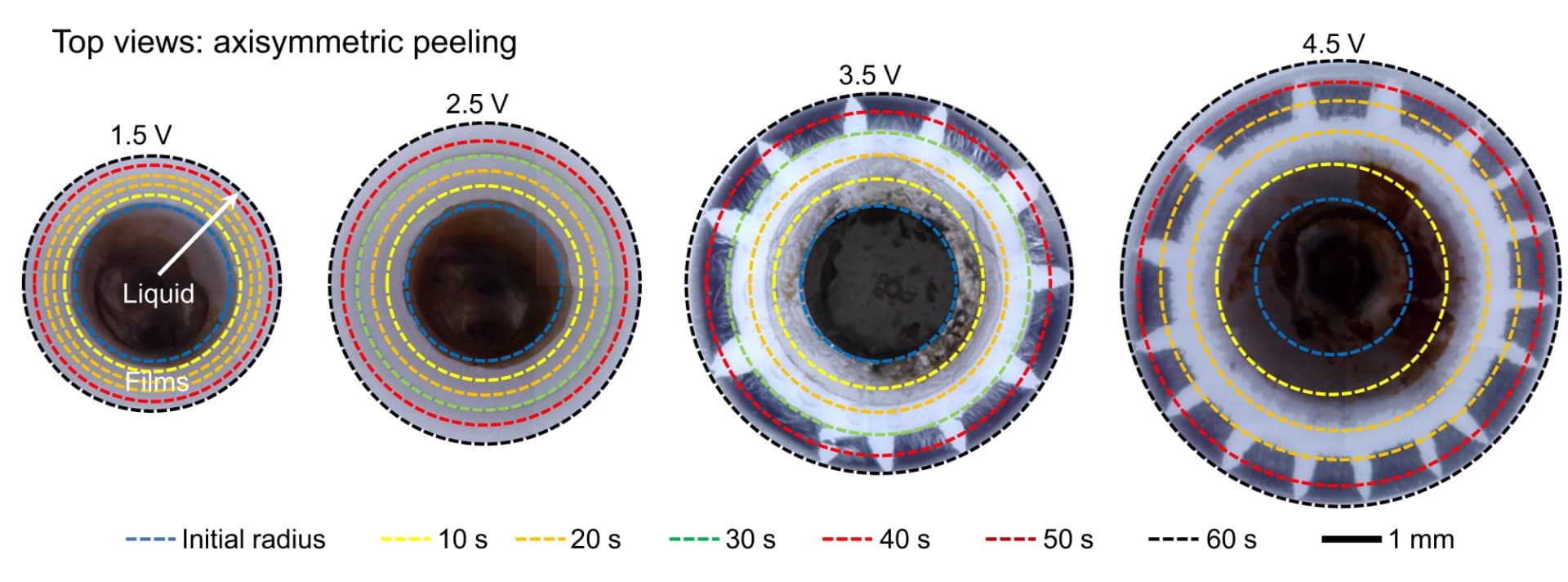 Open access visualization of Photo, Top view, Axisymmetric peeling, Voltage, Electro-capillary peeling