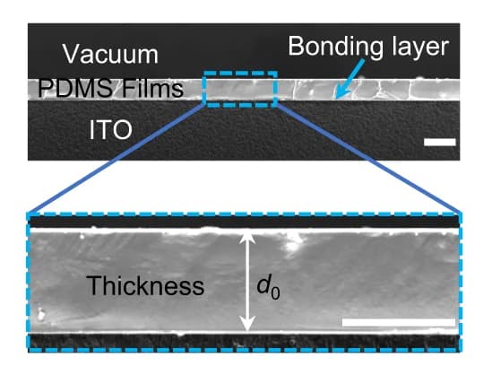 Open access visualization of Microscopy, SEM, PDMS Film, Glass Surface, Film Thickness