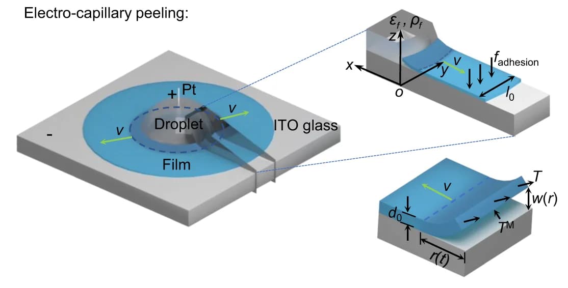 Open access visualization of Illustration, Electro-capillary Peeling, Mechanism, Model