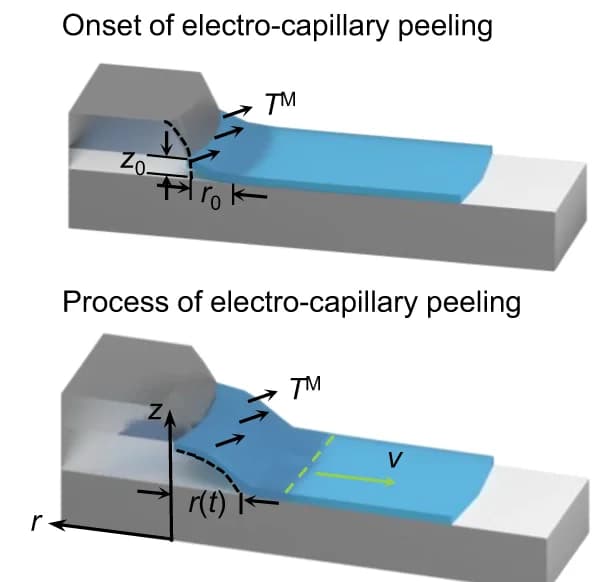 Open access visualization of Illustration, Electro-capillary Peeling, Process, Liquid Droplet, Film Detachment