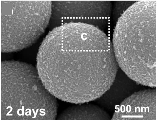 Open access visualization of Microscopy, Hollow Spheres, Nanosheets