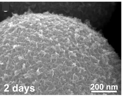 Open access visualization of Microscopy, Hollow Spheres, Nanosheets