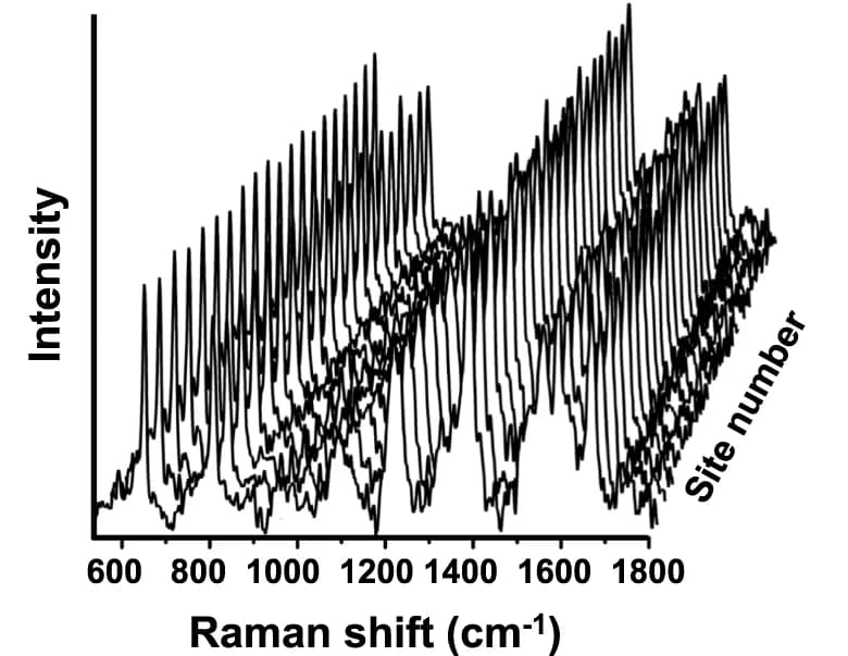 Open access visualization of Line Plot, Ridge Plot, SERS Signals, GDY HHMSs