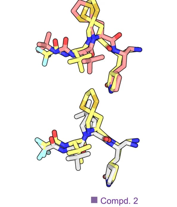 Open access visualization of Protein Structure, Chemical Structure, Binding modes, Compound 7, Simnotrelvir