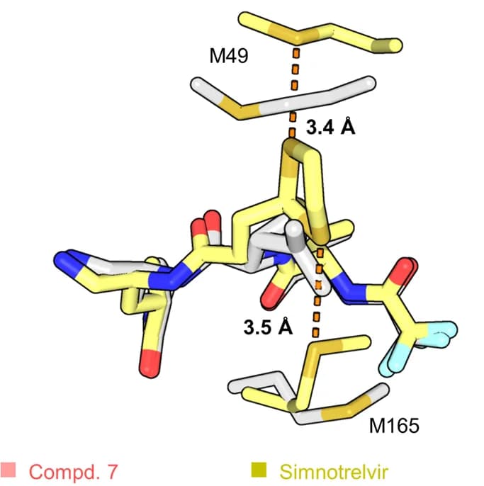 Open access visualization of Protein Structure, Chemical Structure, Binding modes, Compound 7, Simnotrelvir