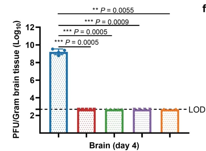 Open access visualization of Bar Plot, Error Bars, Viral Titers, Brains, Post-Infection Day 4