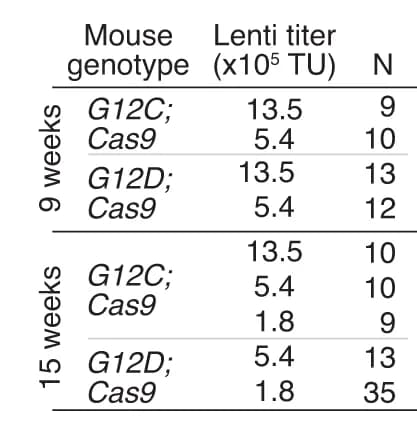 Open access visualization of Table Image, Genotype, Time Point, Lentiviral Titer, Number of Mice