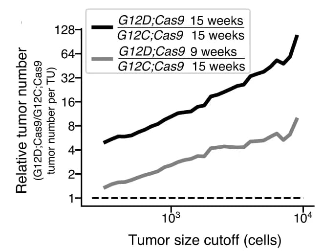 Open access visualization of Line Plot, Tumor Number, G12D;Cas9 Mice, G12C;Cas9 Mice, Time Post-Tumor Initiation