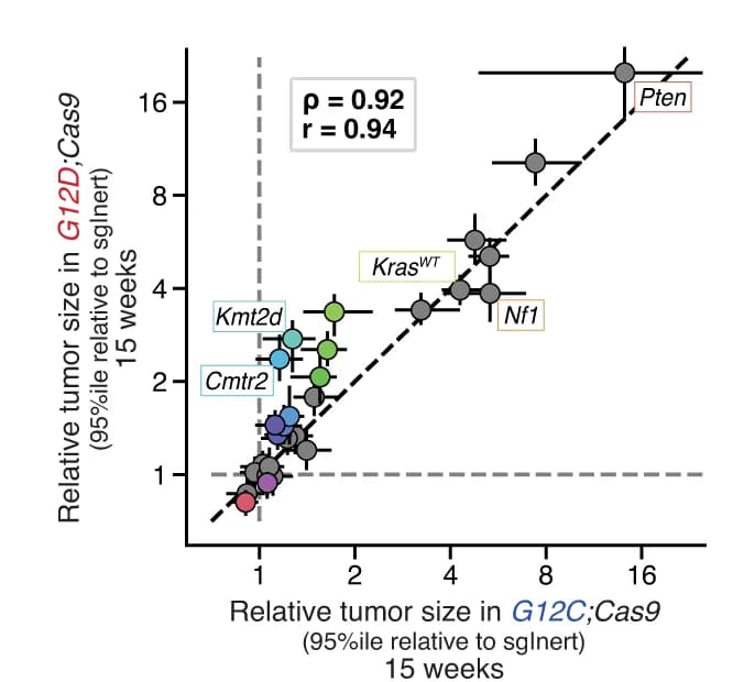 Open access visualization of Scatter Plot, Regression Plot, Error Bars, Tumor Size, G12D;Cas9 Mice