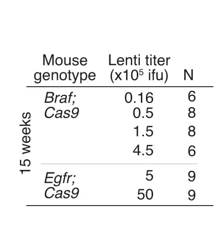 Open access visualization of Table Image, Mouse genotype, Time point, Lentiviral titer, Experimental group