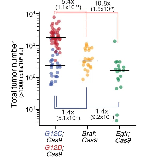 Open access visualization of Scatter Plot, Tumors, Lenti-sgRNA/Cre vectors, Viral titer, Mouse genotypes