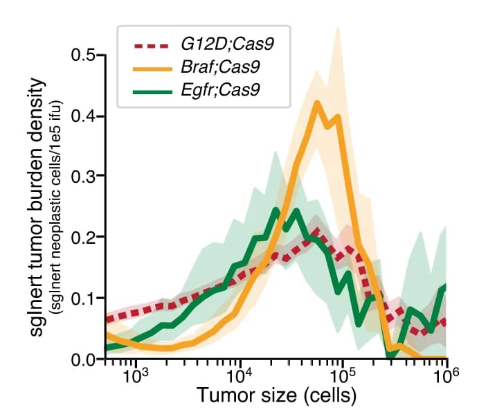 Open access visualization of Line Plot, Error Bars, Density Plot, Tumor burden, Tumor size