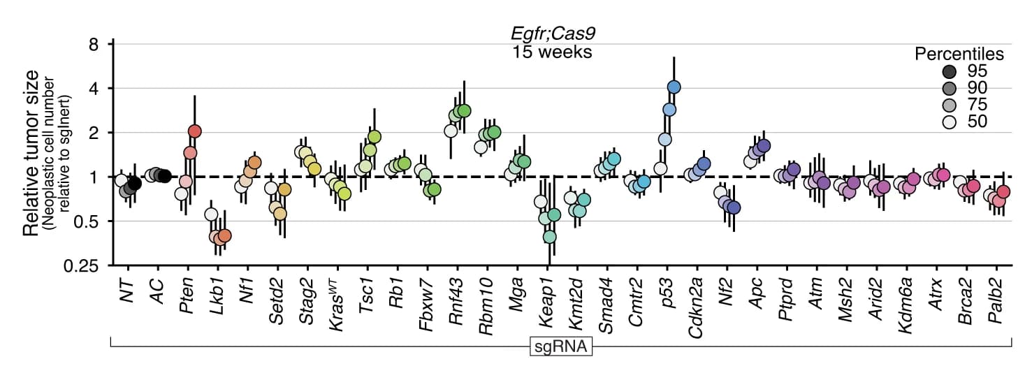 Open access visualization of Scatter Plot, Error Bars, Tumor Cells, Tumor Size, Lenti-sgRNA/Cre vector