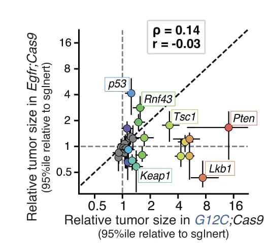 Open access visualization of Scatter Plot, Error Bars, Tumor Size, Tumor Distribution, G12C;Cas9 Mice
