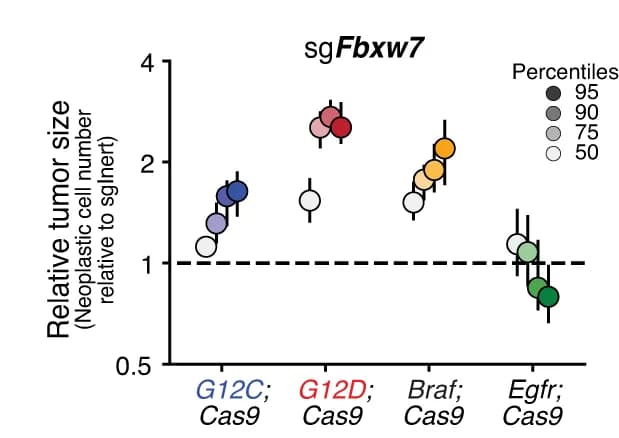 Open access visualization of Scatter Plot, Error Bars, Tumor Size, Tumor Distribution, Lenti-sgRNA/Cre Vector