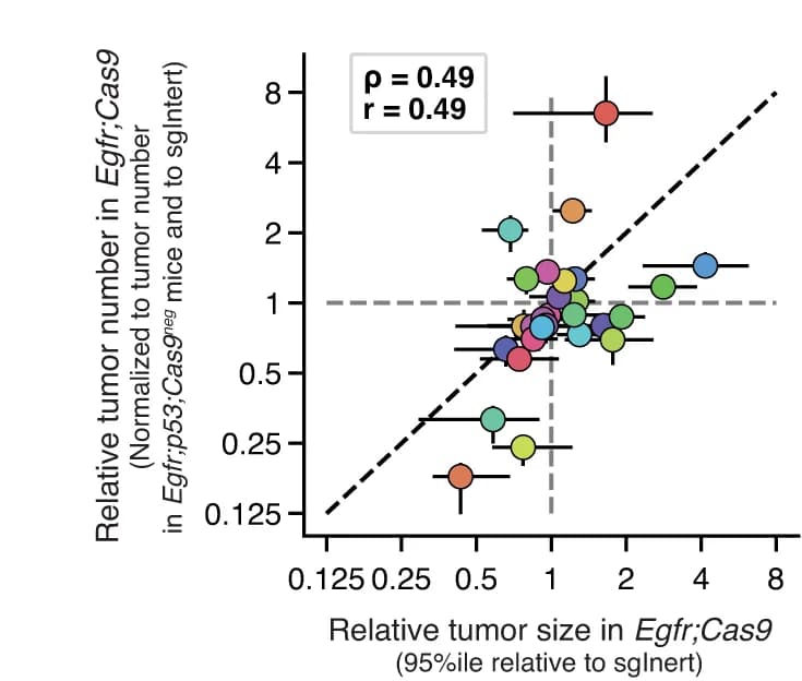Open access visualization of Scatter Plot, Regression Plot, Error Bars, Tumor Size, Tumor Number