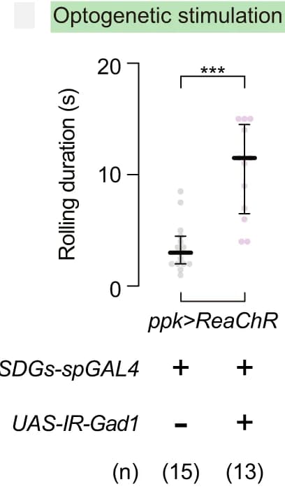 Open access visualization of Scatter Plot, Error Bars, Optogenetic Stimulation, Latency, Duration