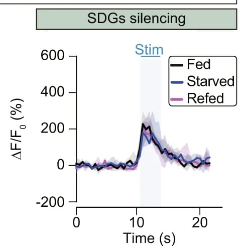 Open access visualization of Line Plot, Error Bars, ∆F/F 0, Optogenetics, Stimulation