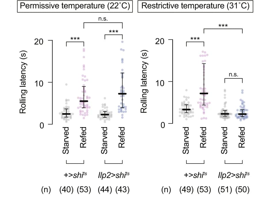 Open access visualization of Scatter Plot, Error Bars, Thermo-nociceptive Responses, Larvae, Temporal Silencing