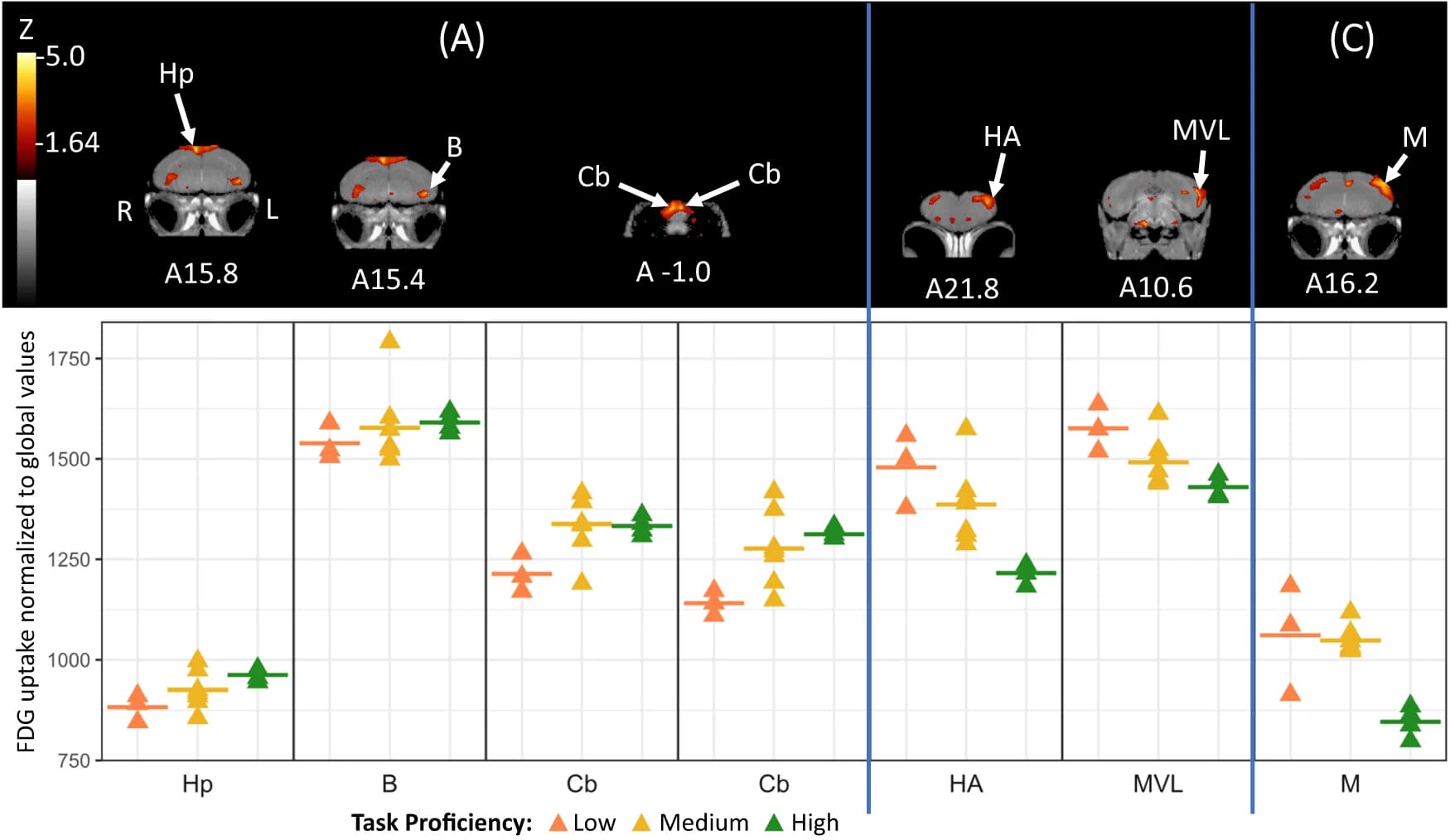 Open access visualization of Scatter Plot, Microscopy, FDG Uptake, Post-training Scan, Voxel-wise Subtractions