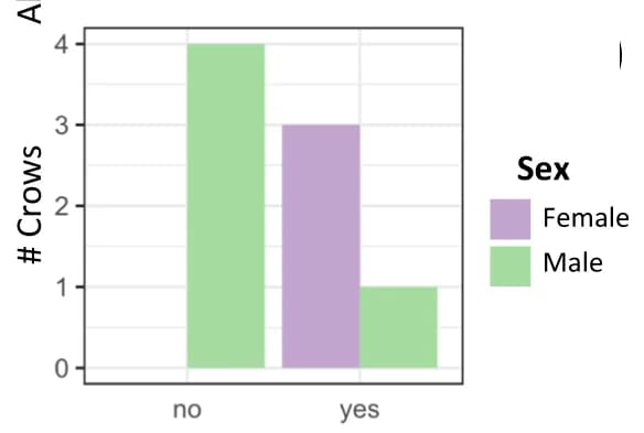 Open access visualization of Bar Plot, Clustered, Adult birds, Sex, Task proficiency