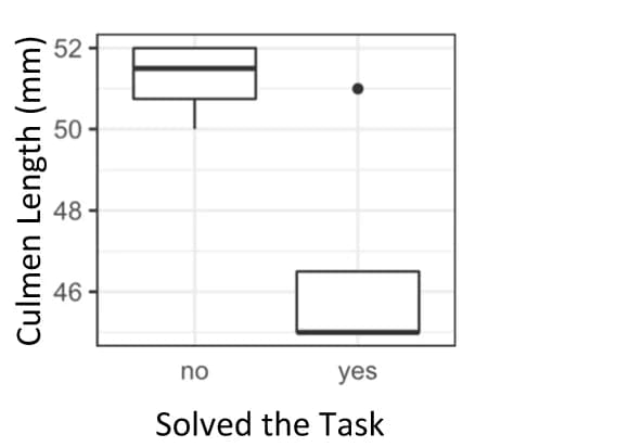 Open access visualization of Box Plot, Adult birds, Culmen length, Task proficiency, Box-whisker plots