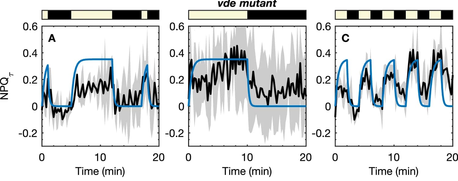 Open access visualization of Line Plot, Error Bars, NPQ, Light/Dark Sequences, Technical Replicates