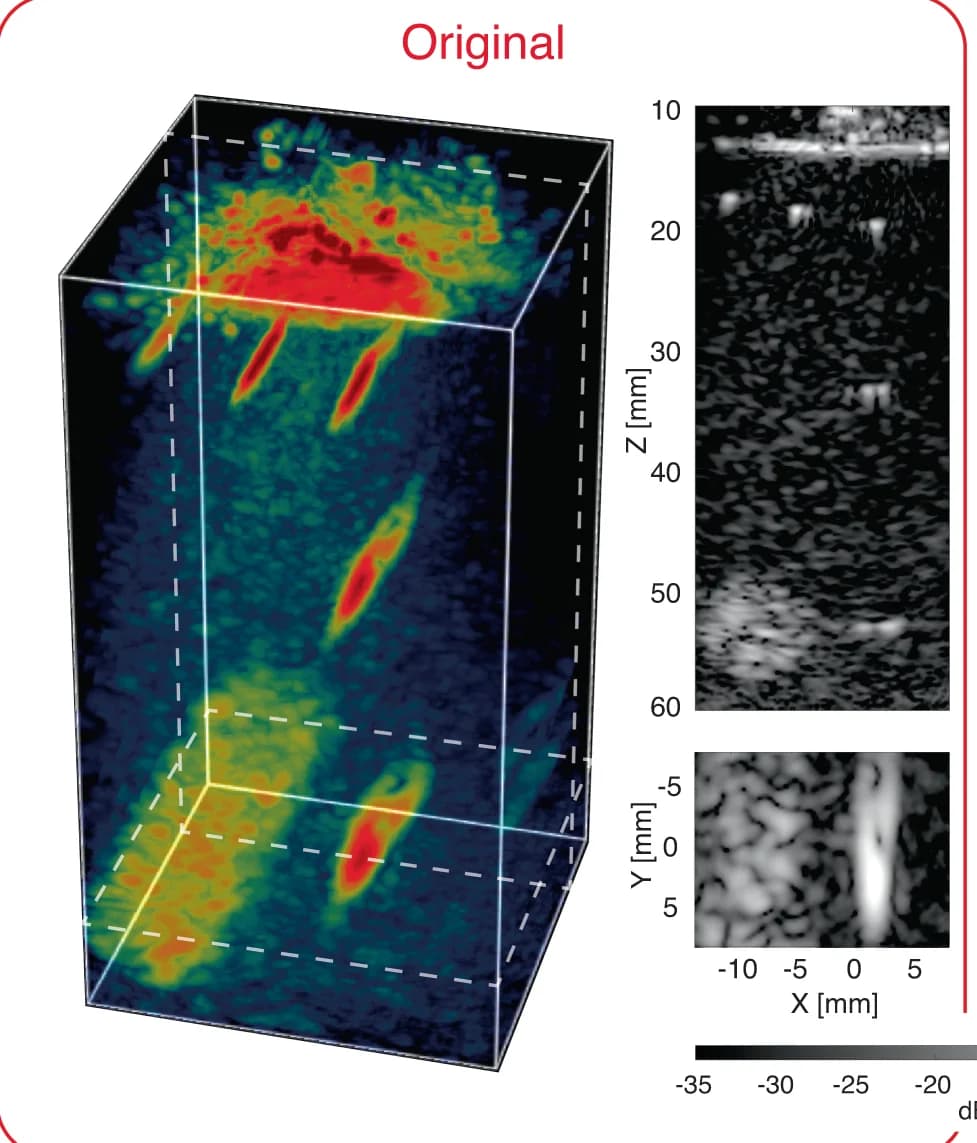 Open access visualization of Microscopy, 3D Confocal Images, UMI Images, Cross-section