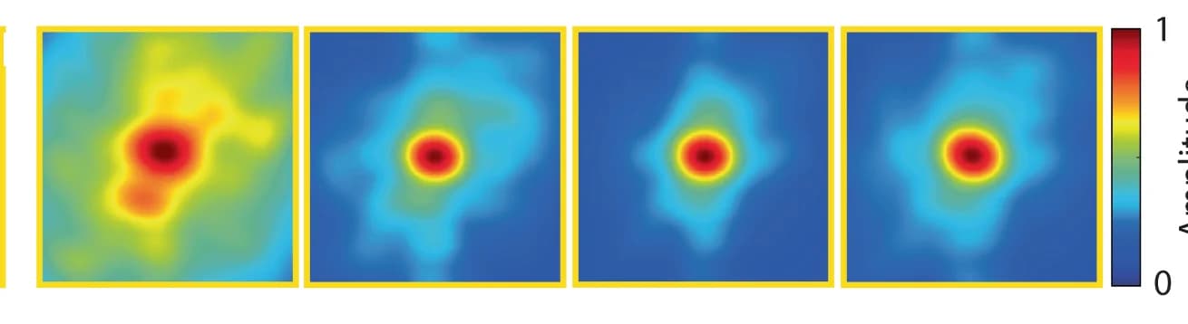 Open access visualization of Heatmap