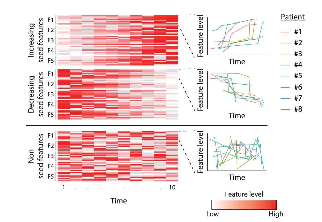 Open access visualization of Heatmap, Line Plot, TimeAx, Seed Features, Patients