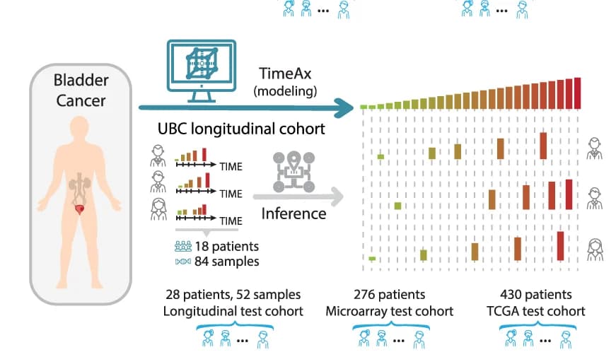 Open access visualization of Workflow, Illustration, Bar Plot, UBC dynamics, TimeAx modeling