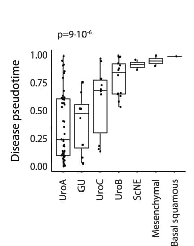 Open access visualization of Box Plot, Scatter Plot, Disease Pseudotime, Tumor Molecular Classifications, UBC Longitudinal Cohort