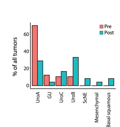 Open access visualization of Bar Plot, Clustered, LundTax, Tumor Molecular Classifications, Stromal Pro-Invasion