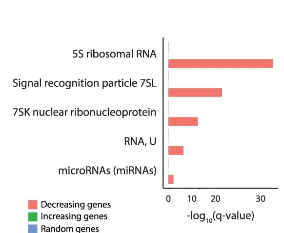 Open access visualization of Bar Plot, Pseudogene Families, Downregulated Module, Upregulated Module, Random Gene Set