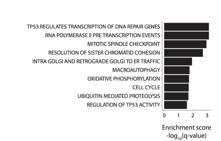 Open access visualization of Bar Plot, Pathway Enrichment, Upregulated Module