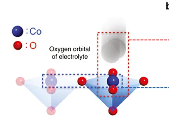 Open access visualization of Chemical Structure, Cobalt, Electrolyte, Catalysis
