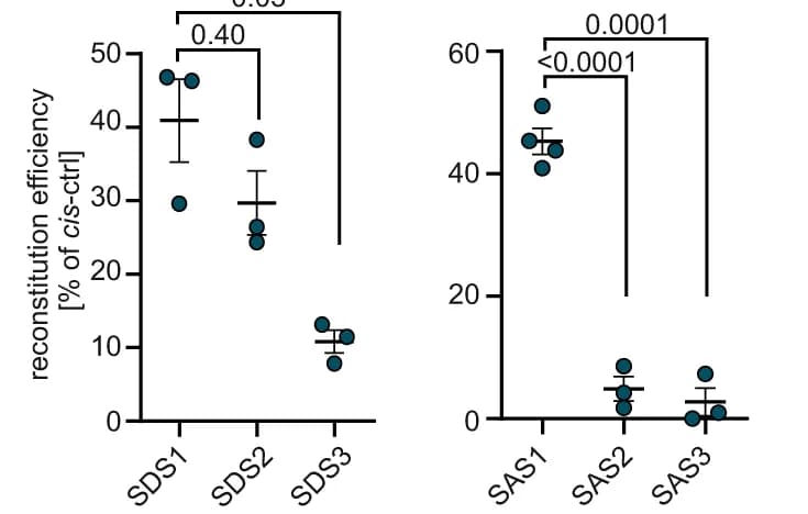 Open access visualization of Scatter Plot, Error Bars, Reconstitution efficiencies, Ratiometric Quantification, Welch's ANOVA