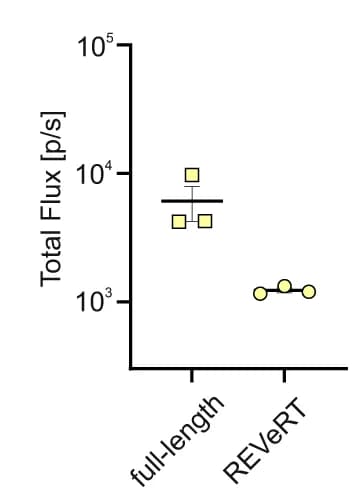 Open access visualization of Scatter Plot, Error Bars, Quantification, Retinal Organoids, Scatter Plots